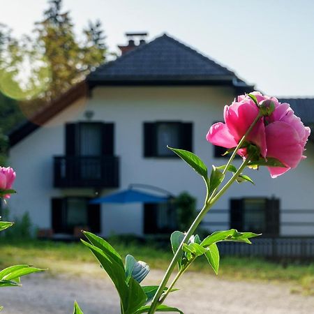 Apartments Zakrasnik Škofja Loka Dış mekan fotoğraf