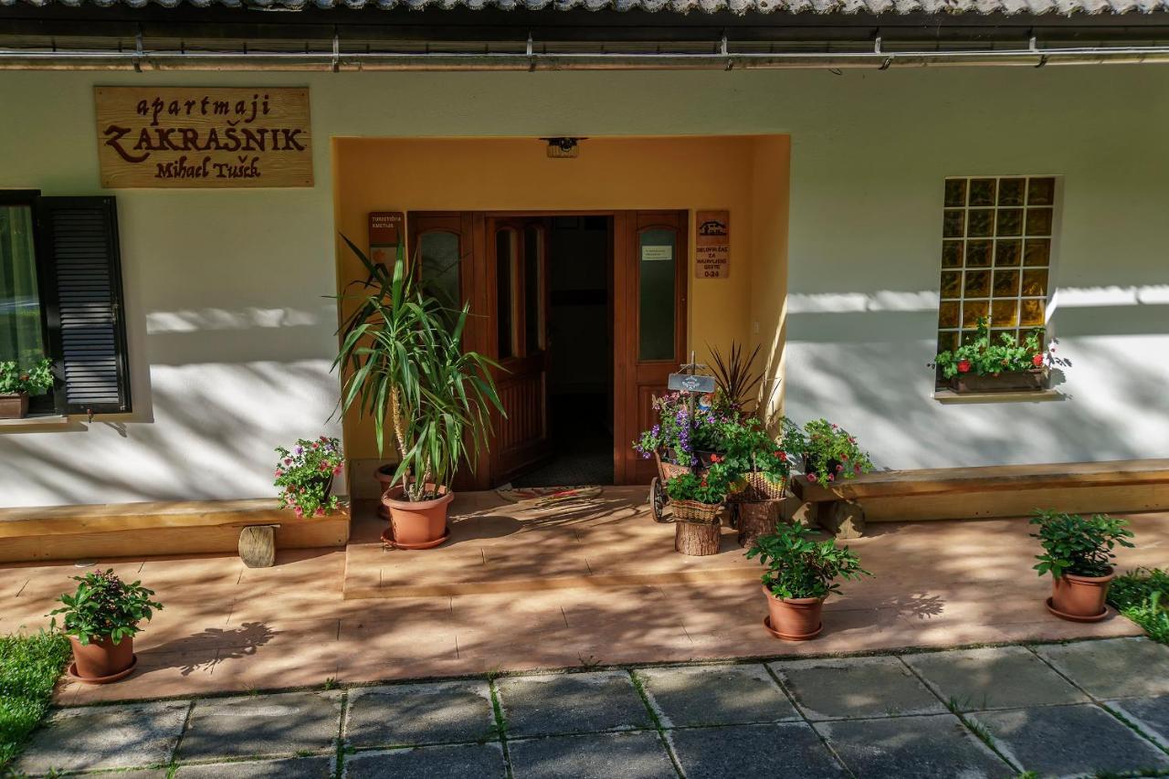 Apartments Zakrasnik Škofja Loka Dış mekan fotoğraf